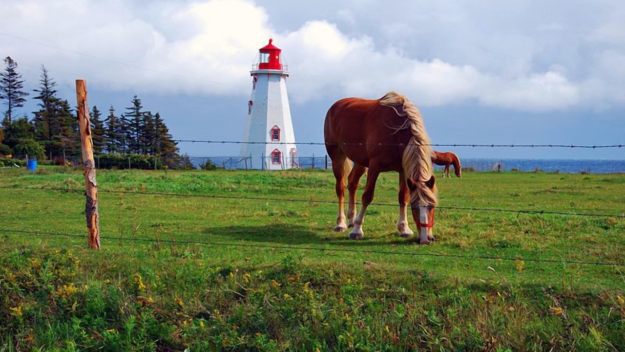 Photo of Others in Summerside