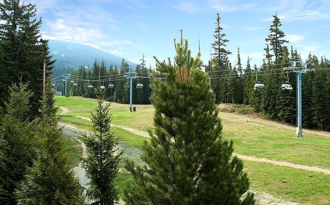 Photo of Others in Upper Village