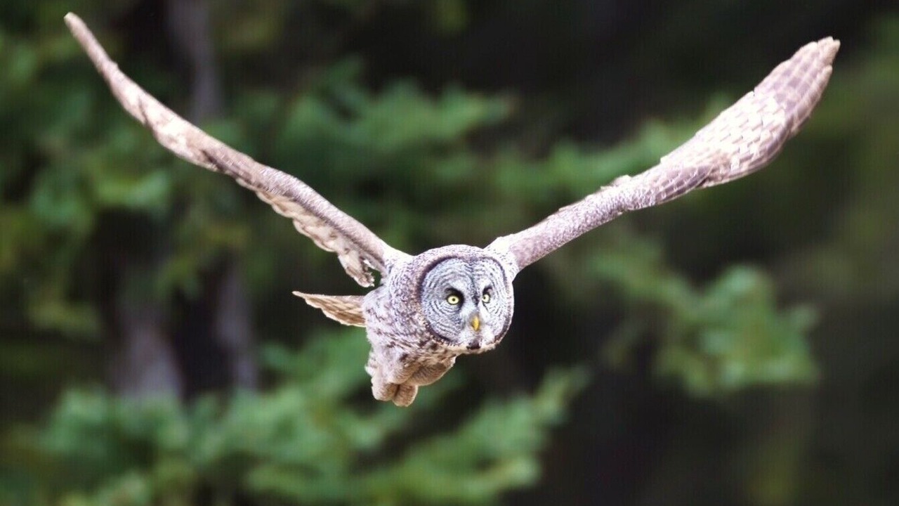 Photo of Outdoor in Erickson