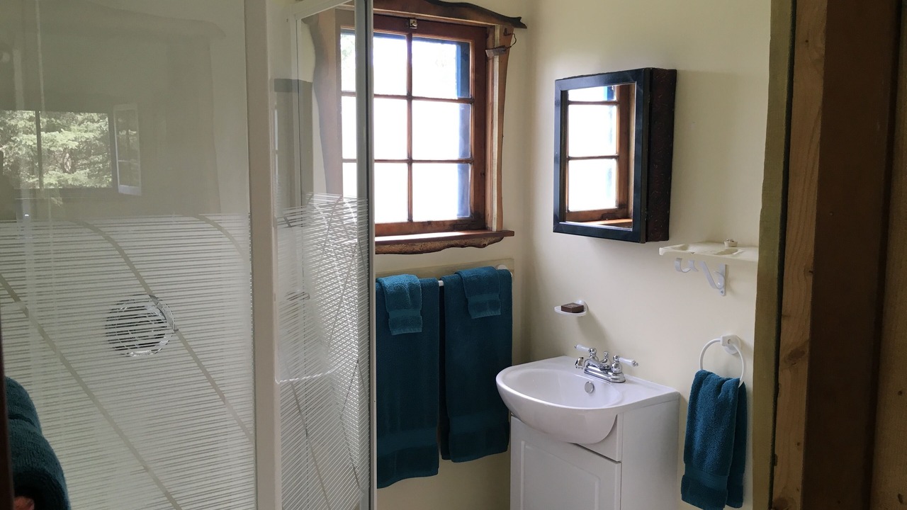 Photo of Bathroom in Erickson
