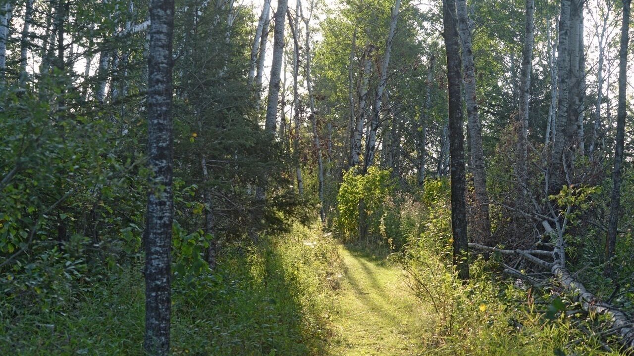Photo of Outdoor in Erickson