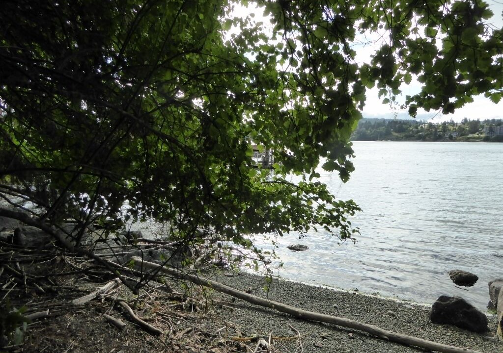 Photo of Others in East Sooke
