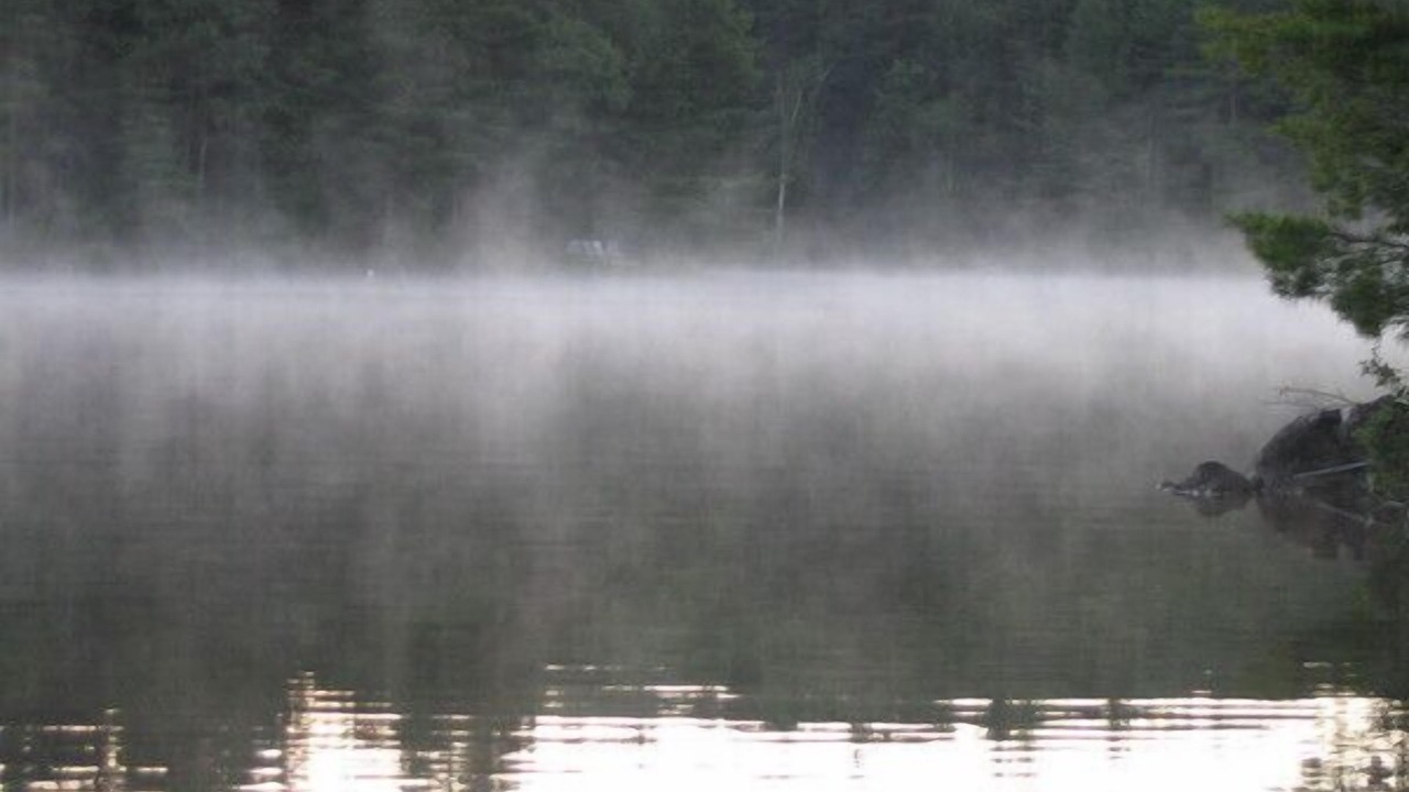 Photo of Others in Lac-McGregor