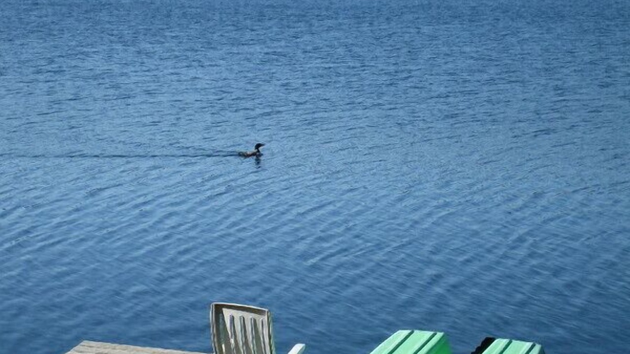 Photo of Others in Lac-McGregor