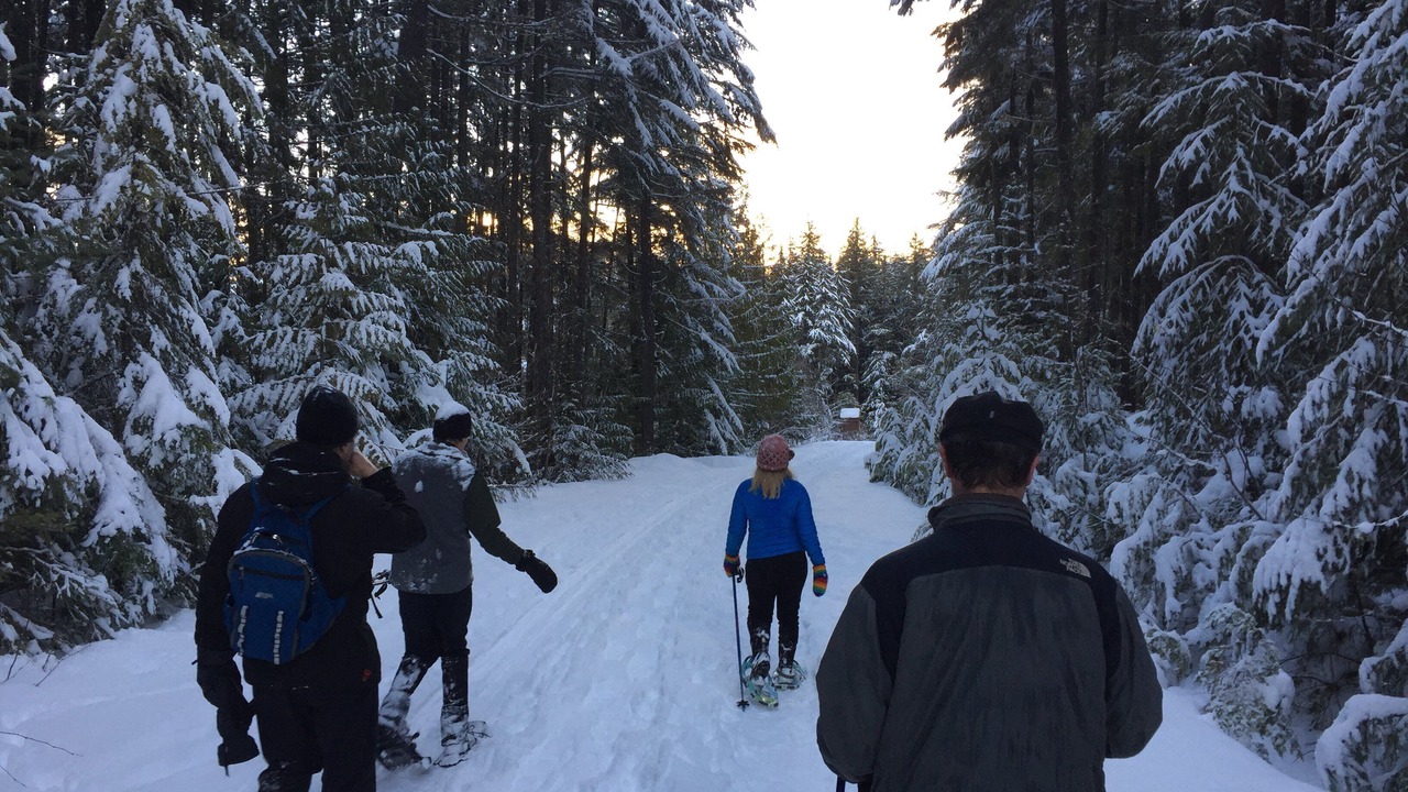 Photo of Others in Kaslo
