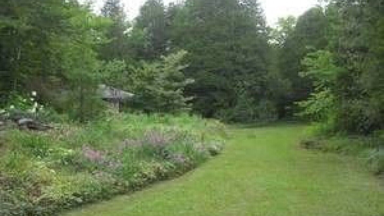Photo of Outdoor in Lion's Head