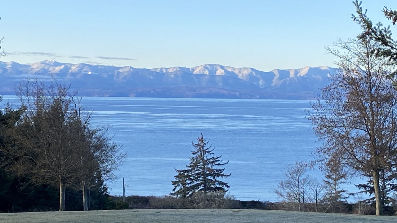 Photo of Others in Otter Point