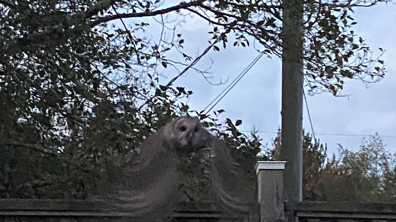 Photo of Others in Otter Point