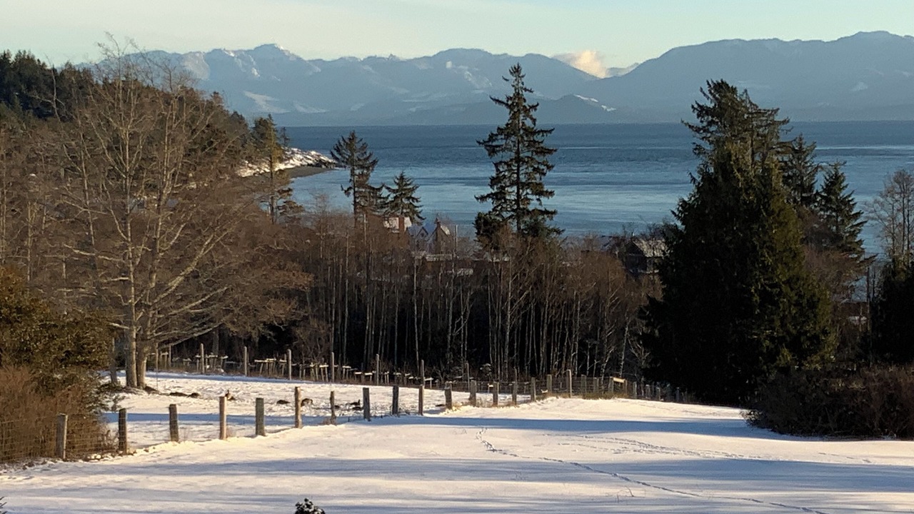 Photo of Others in Otter Point