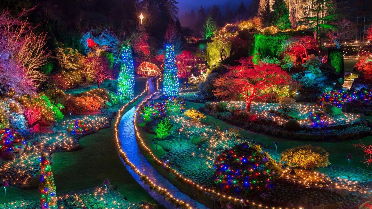 Photo of Others in Saanich West