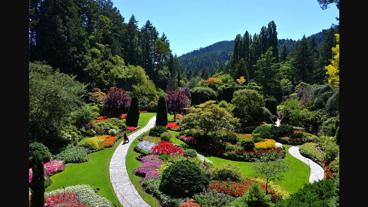 Photo of Outdoor in Saanich West