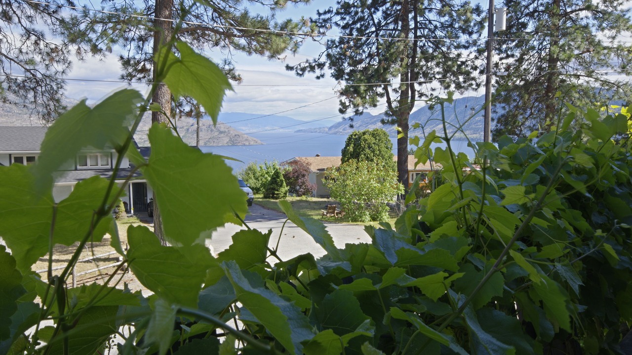 Photo of Outdoor in Central Okanagan