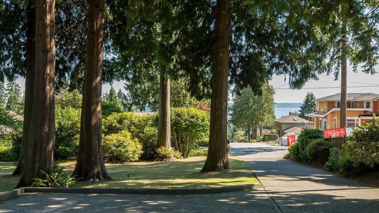 Photo of Outdoor in Hollyburn