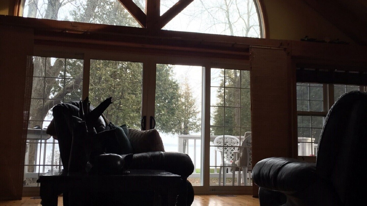 Photo of Others in Fenelon Falls