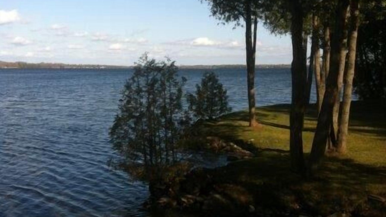 Photo of Others in Fenelon Falls