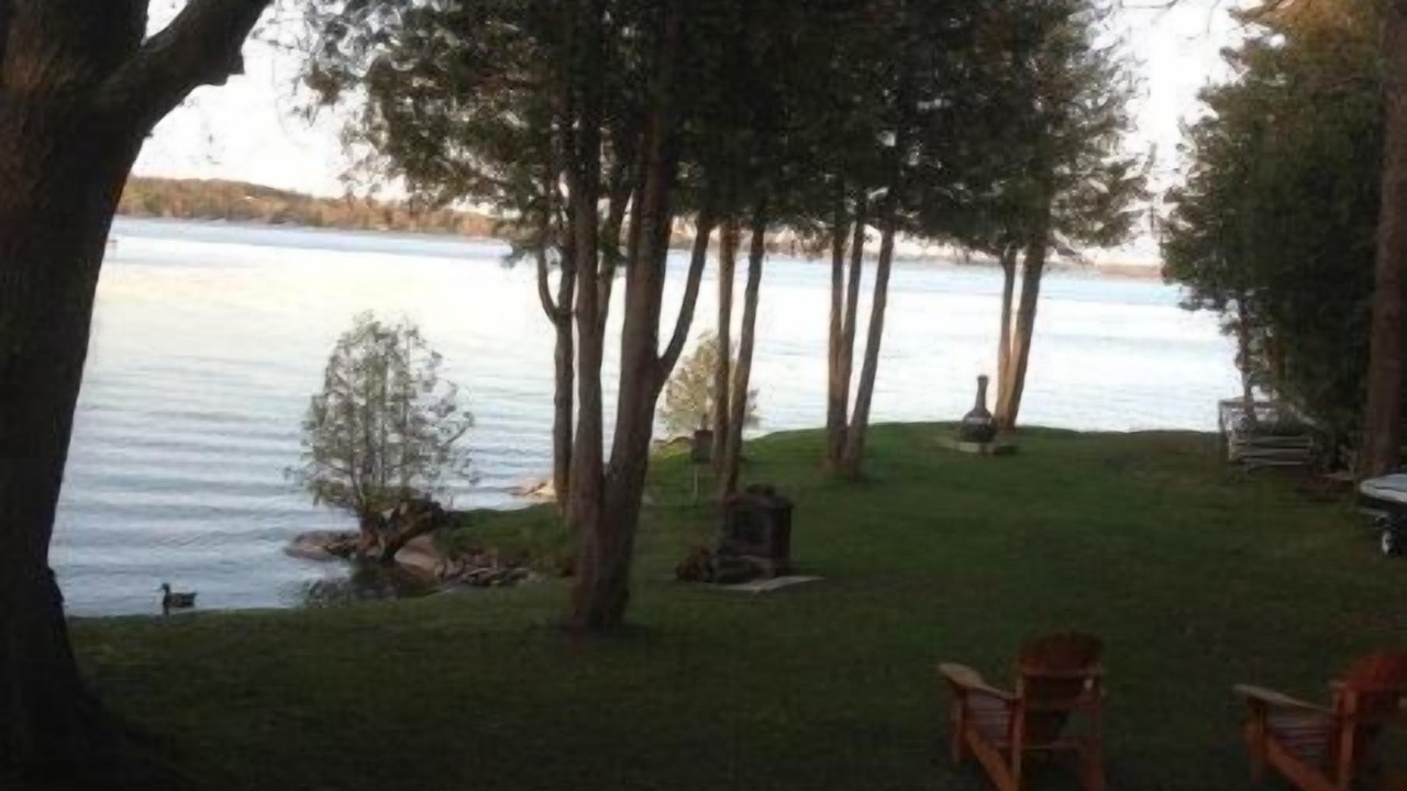 Photo of Others in Fenelon Falls