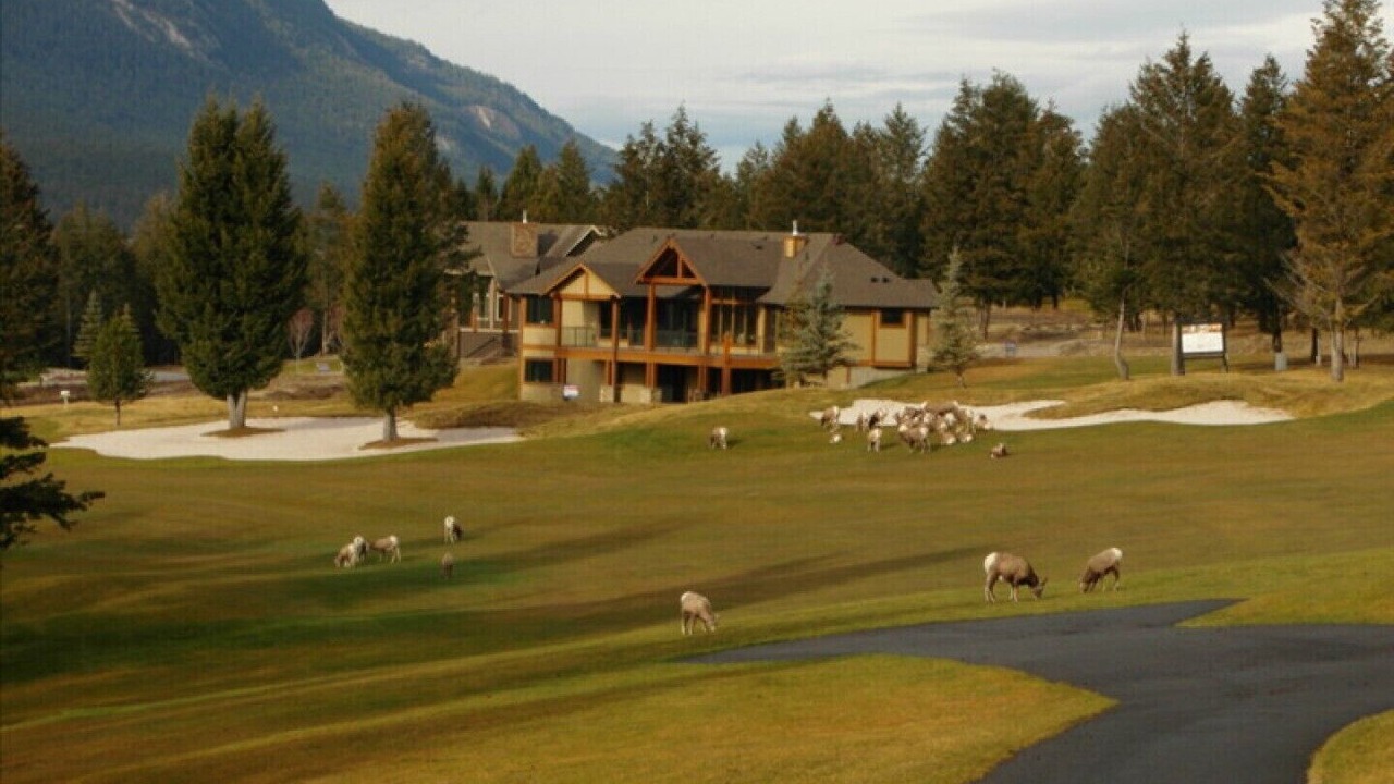 Photo of Others in East Kootenay