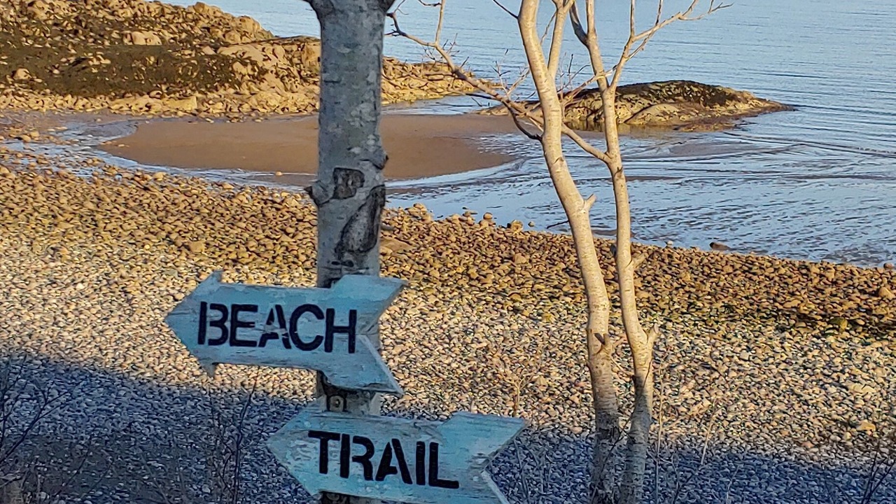 Photo of Others in Seeleys Cove