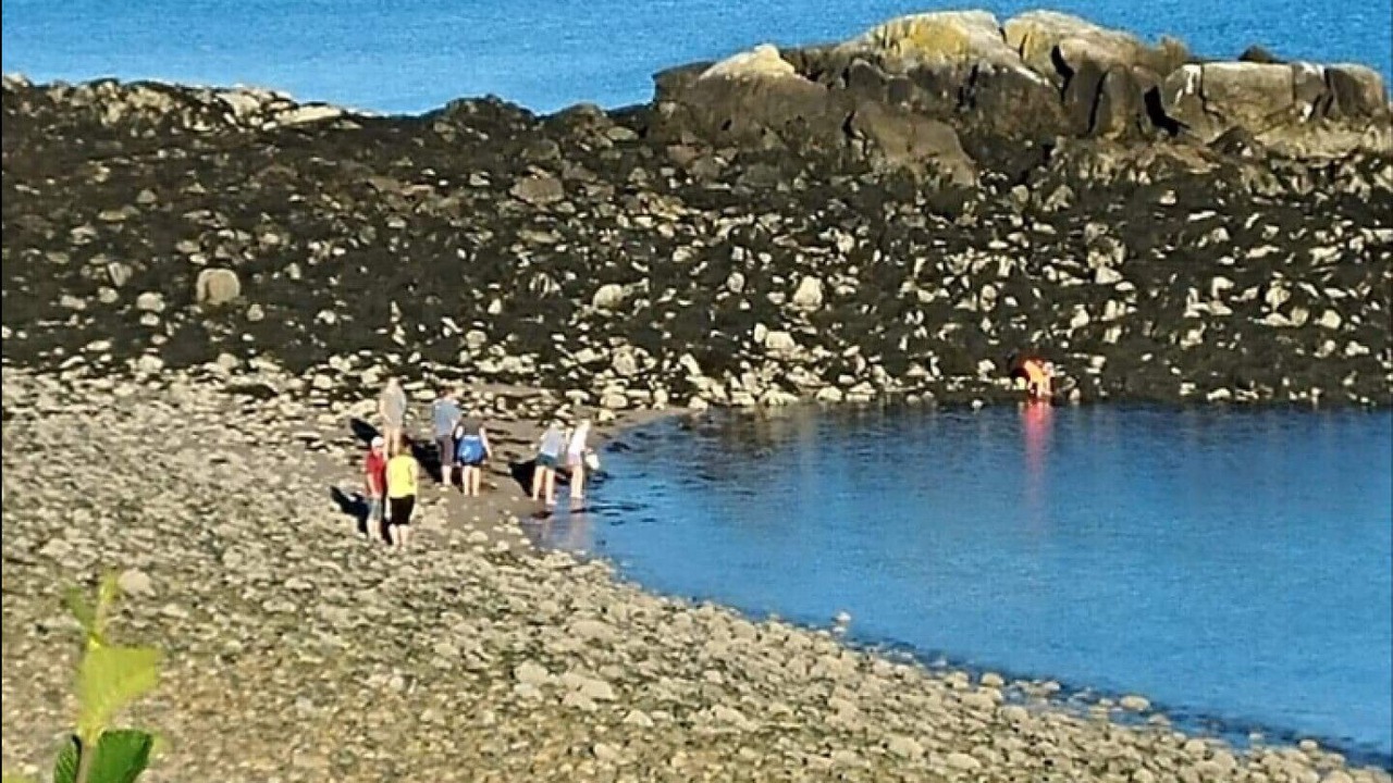 Photo of Others in Seeleys Cove