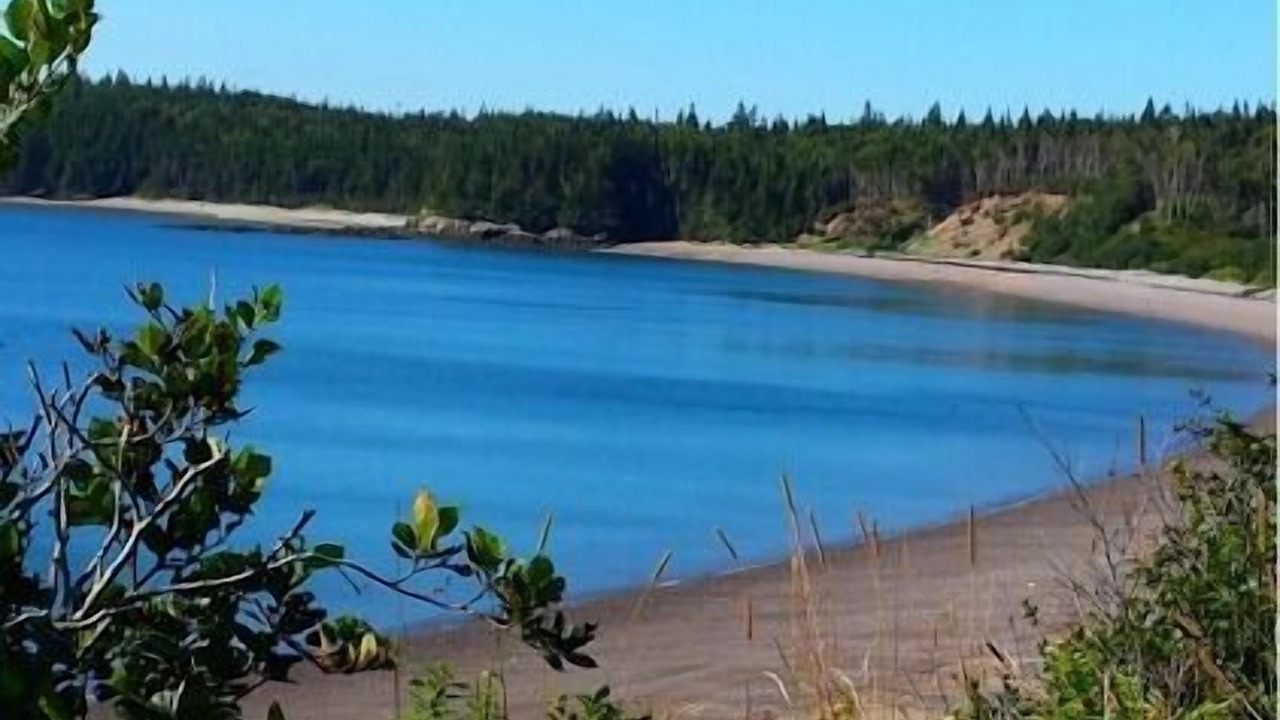 Photo of Others in Seeleys Cove
