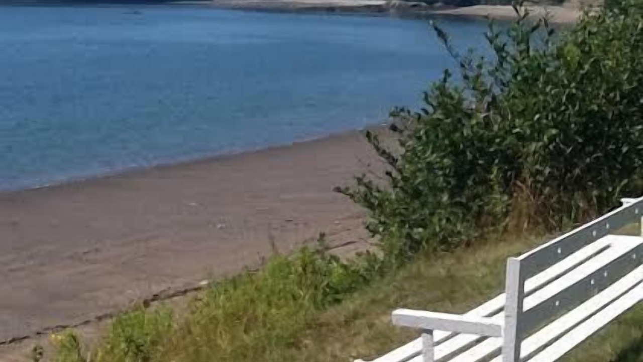 Photo of Others in Seeleys Cove