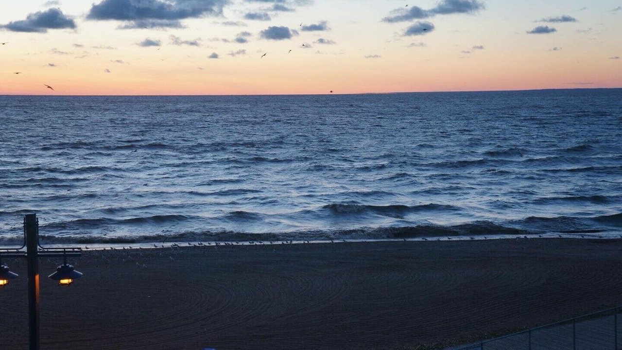 Photo of Others in Gimli