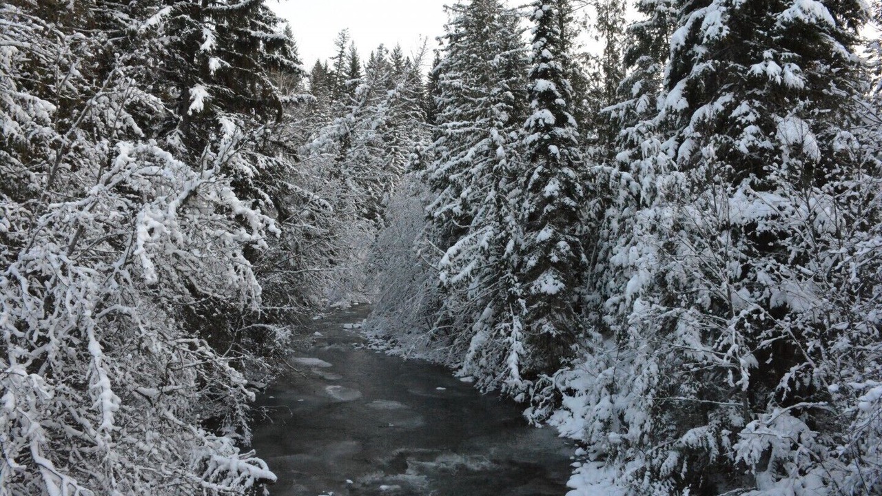 Photo of Others in Sun Peaks