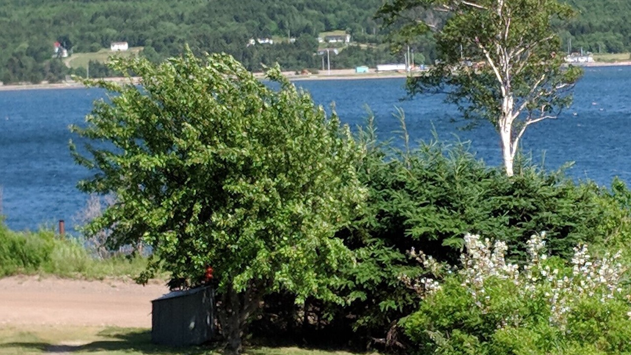 Photo of Others in Jersey Cove