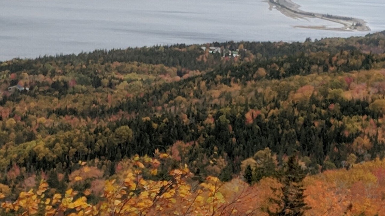 Photo of Others in Jersey Cove