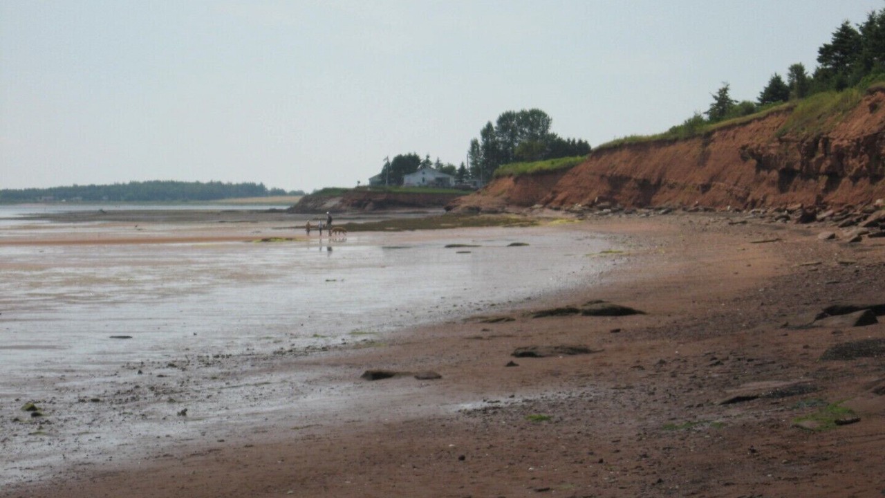 Photo of Others in Fairview