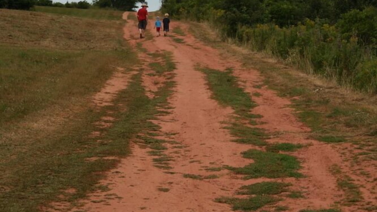 Photo of Others in Fairview