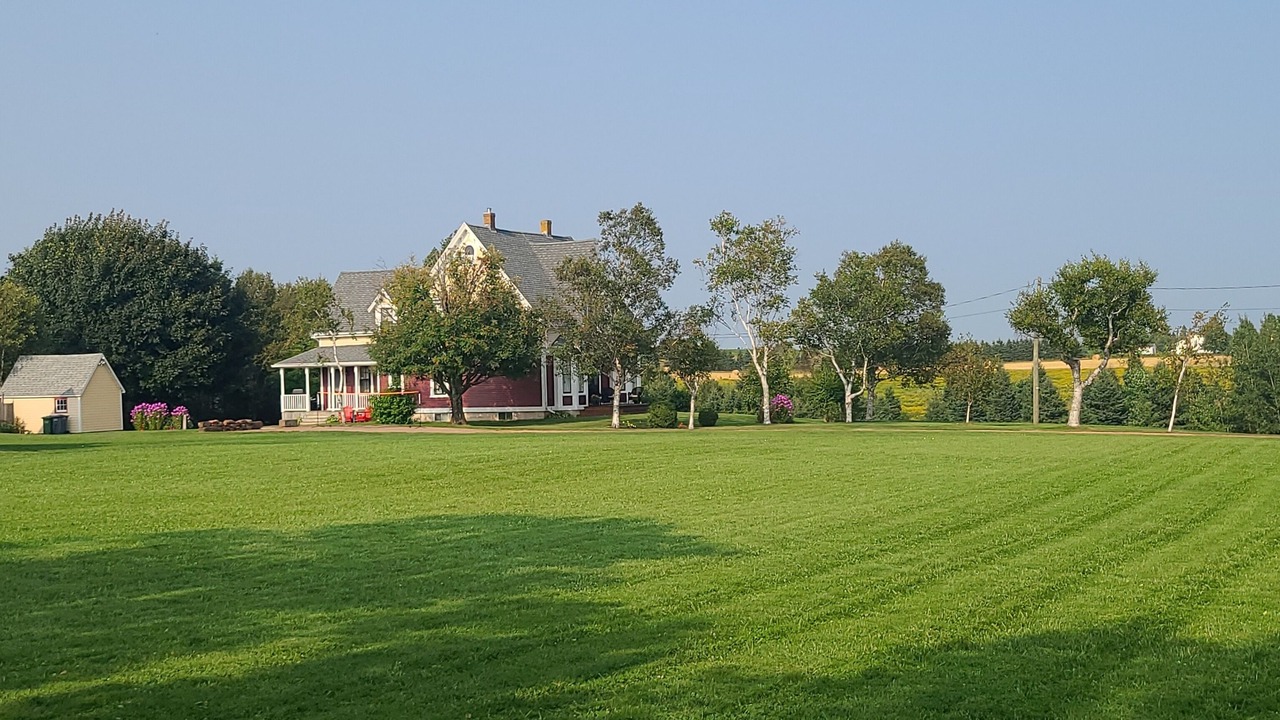 Photo of Outdoor in Fairview