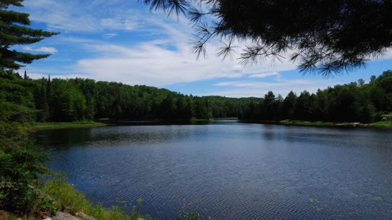 Photo of Outdoor in Les Collines-de-l'Outaouais Regional County Municipality