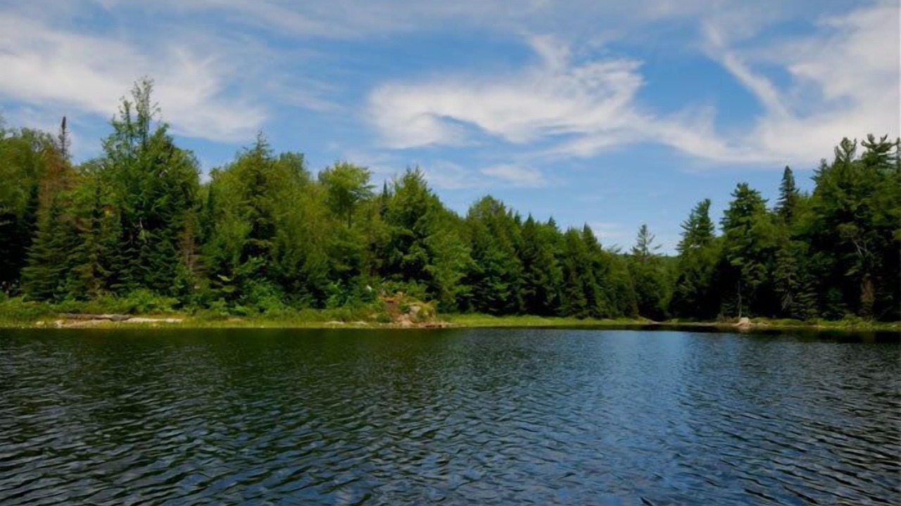 Photo of Outdoor in Les Collines-de-l'Outaouais Regional County Municipality