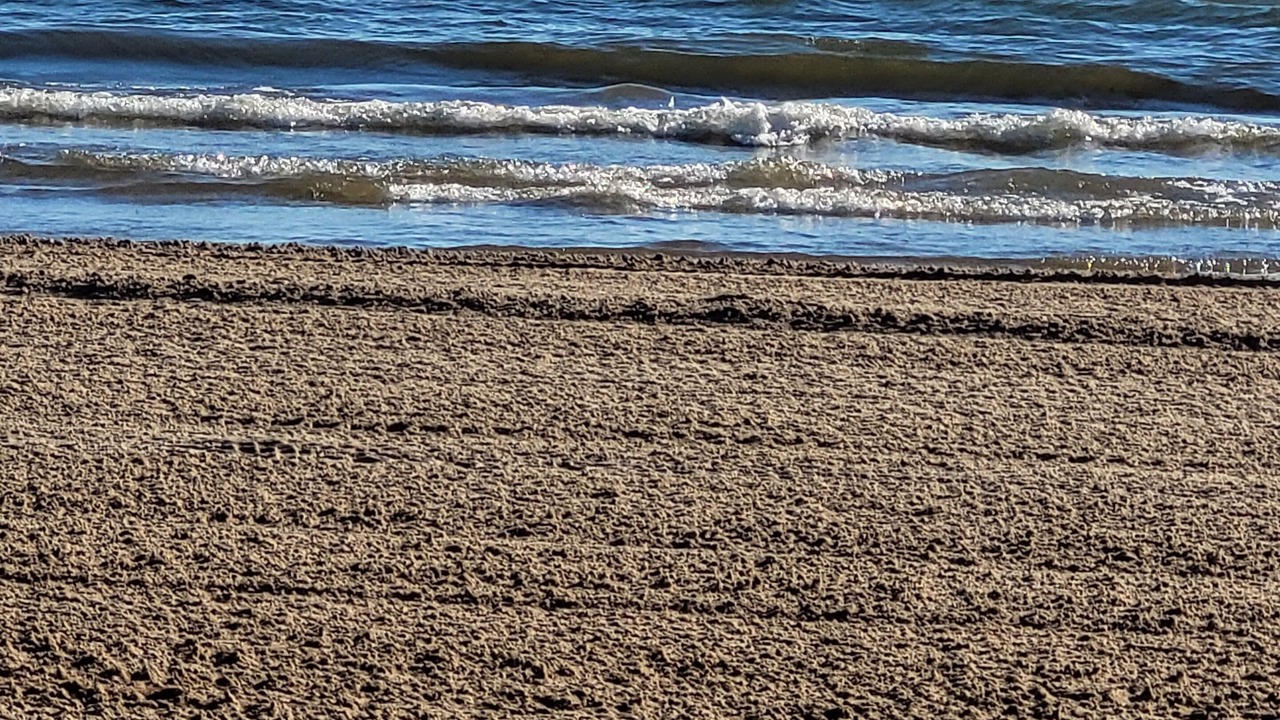 Photo of Others in Burlington
