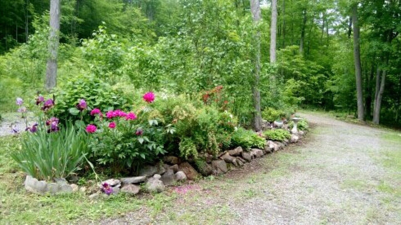 Photo of Outdoor in Central Frontenac