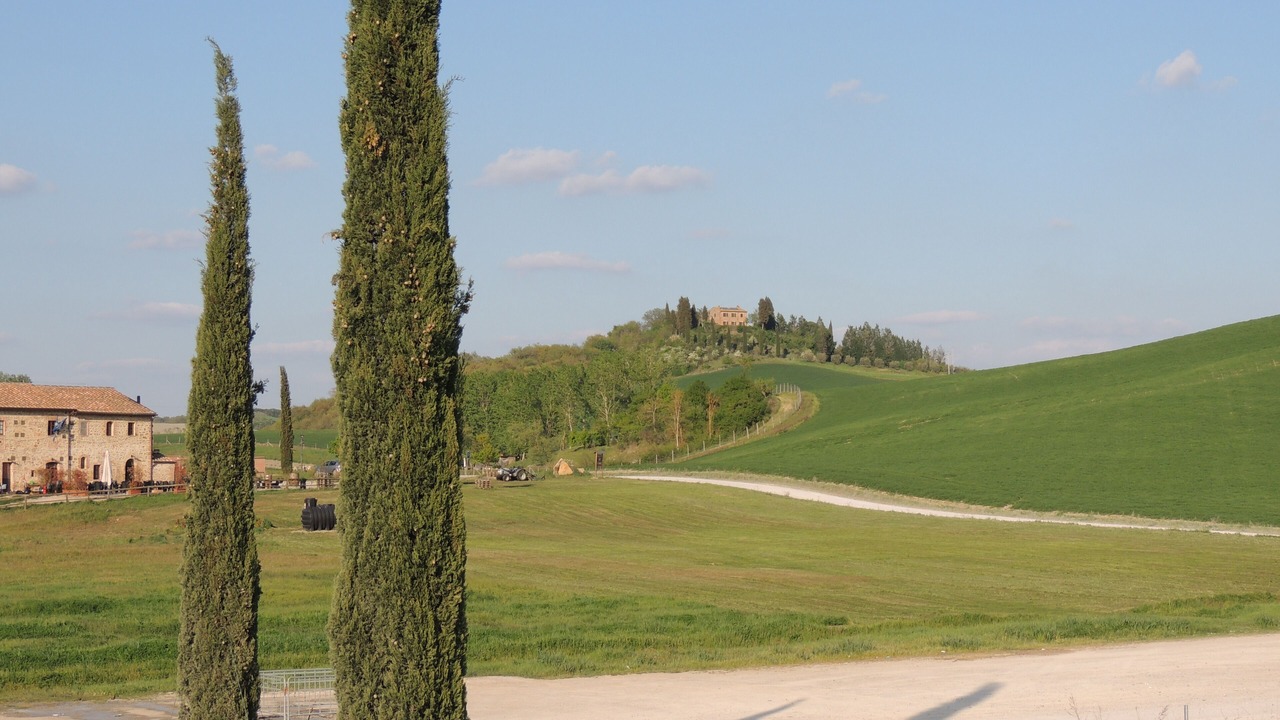 Photo of Others in Ponte di Gabbiano