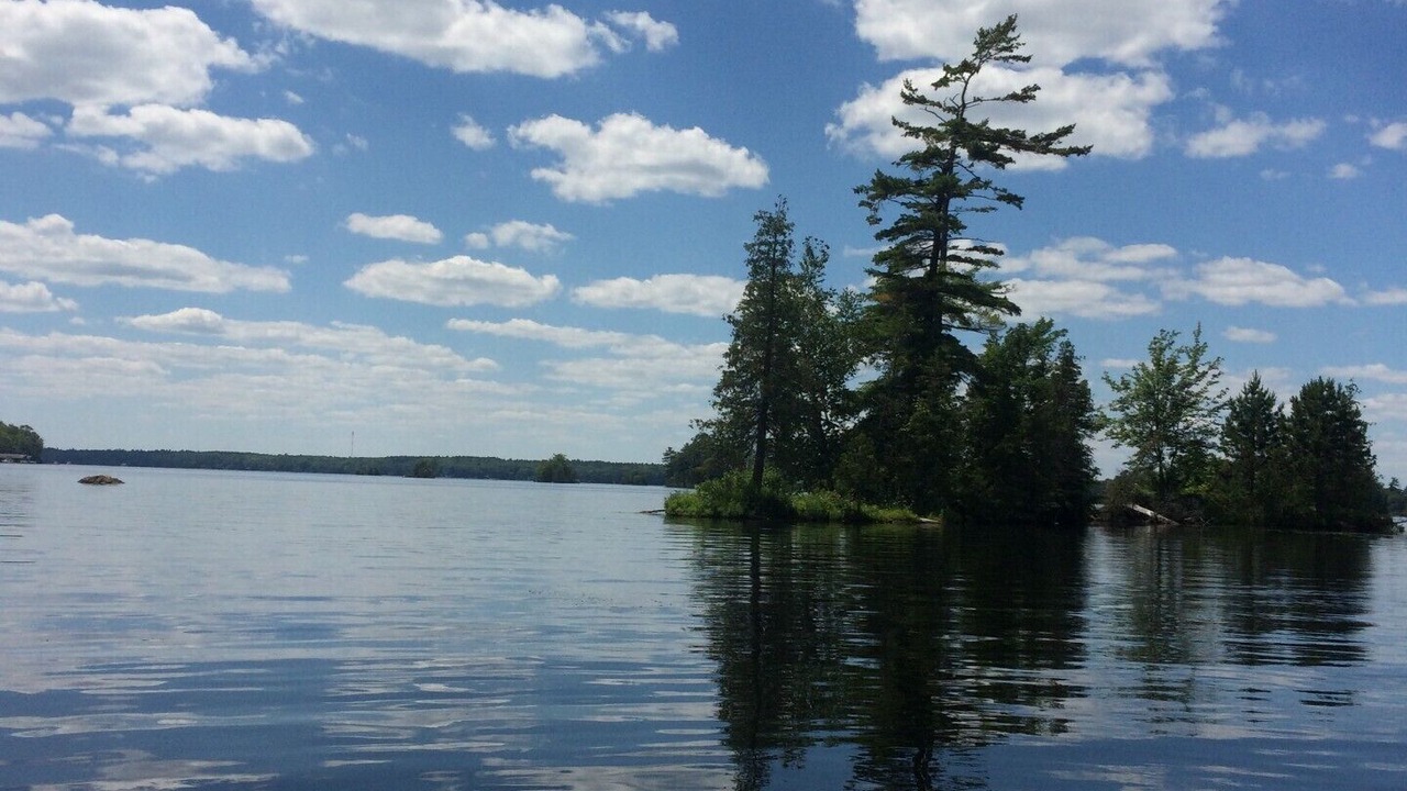 Photo of Outdoor in Selwyn