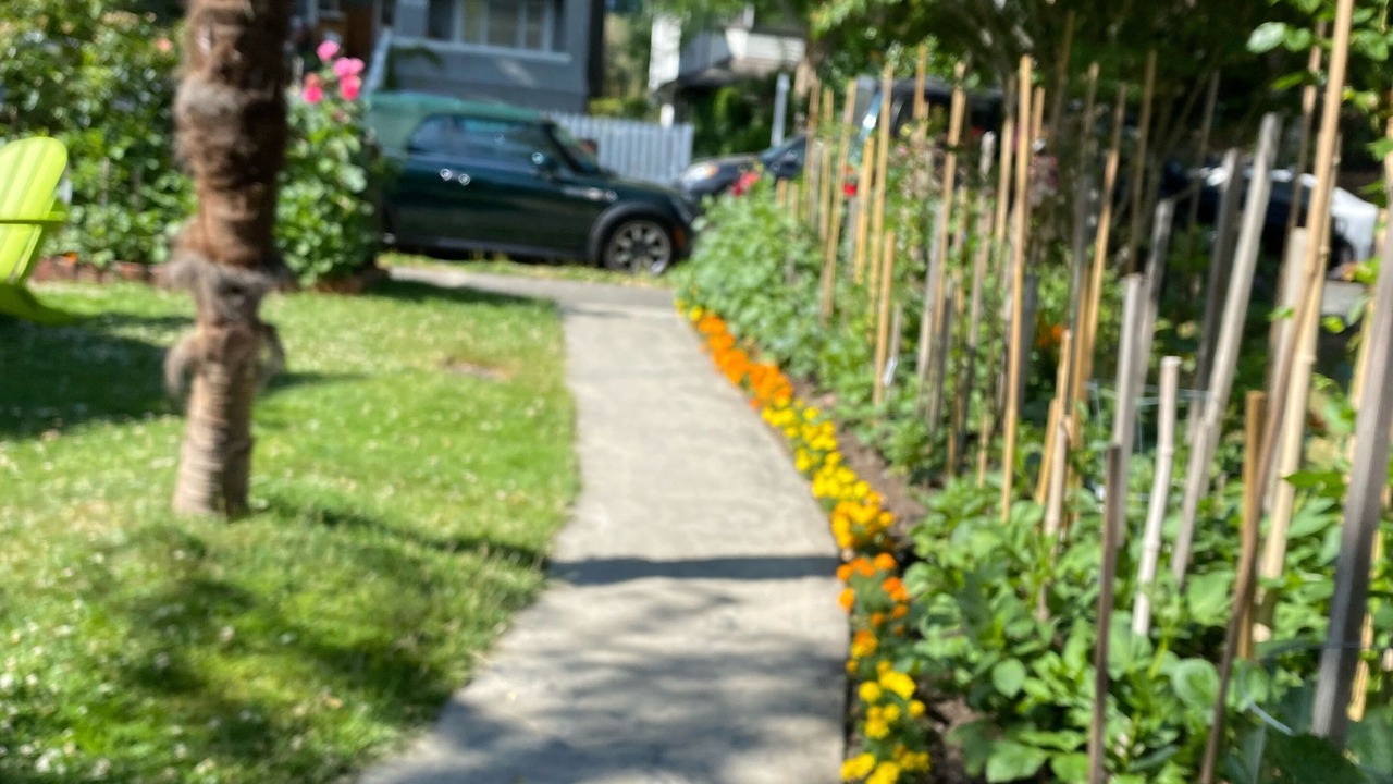 Photo of Others in Kitsilano