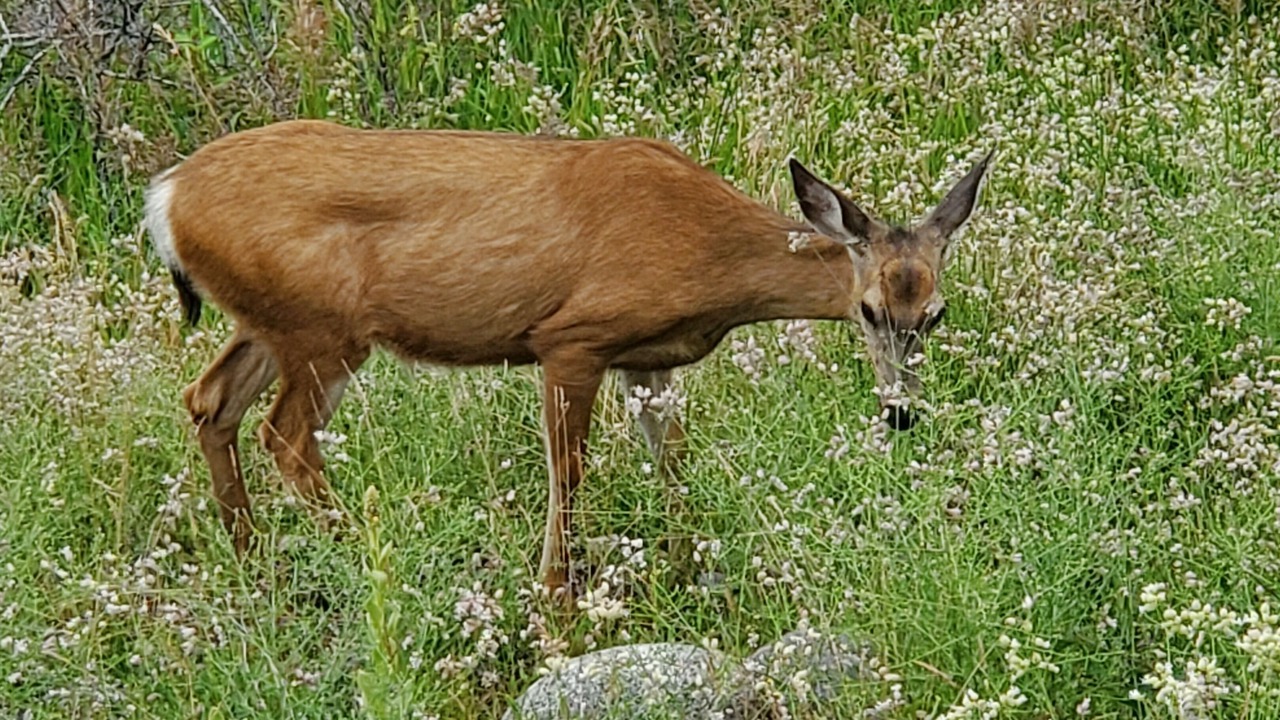 Photo of Others in Central Okanagan
