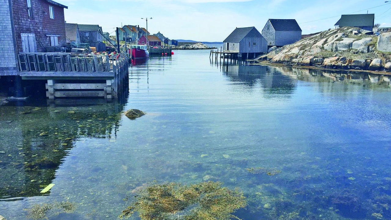 Photo of Others in Peggy's Cove
