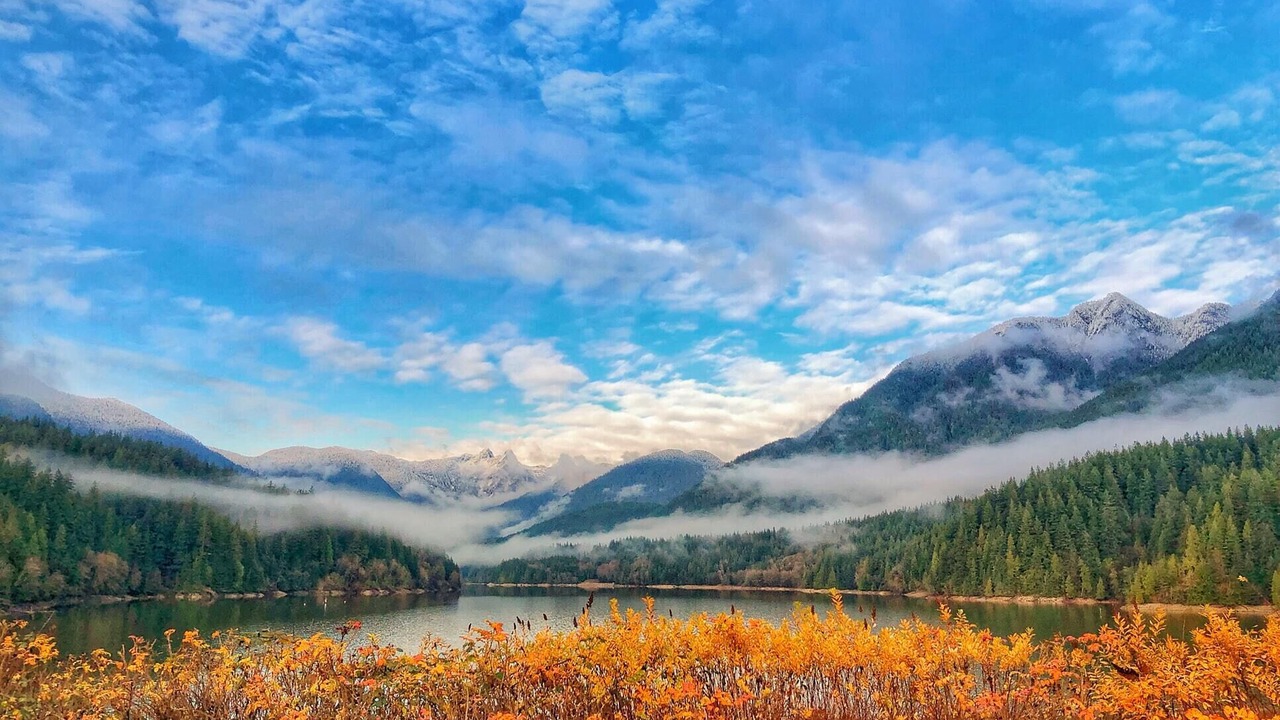 Photo of Others in District of North Vancouver