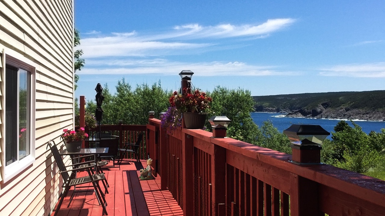 Photo of Others in Pouch Cove