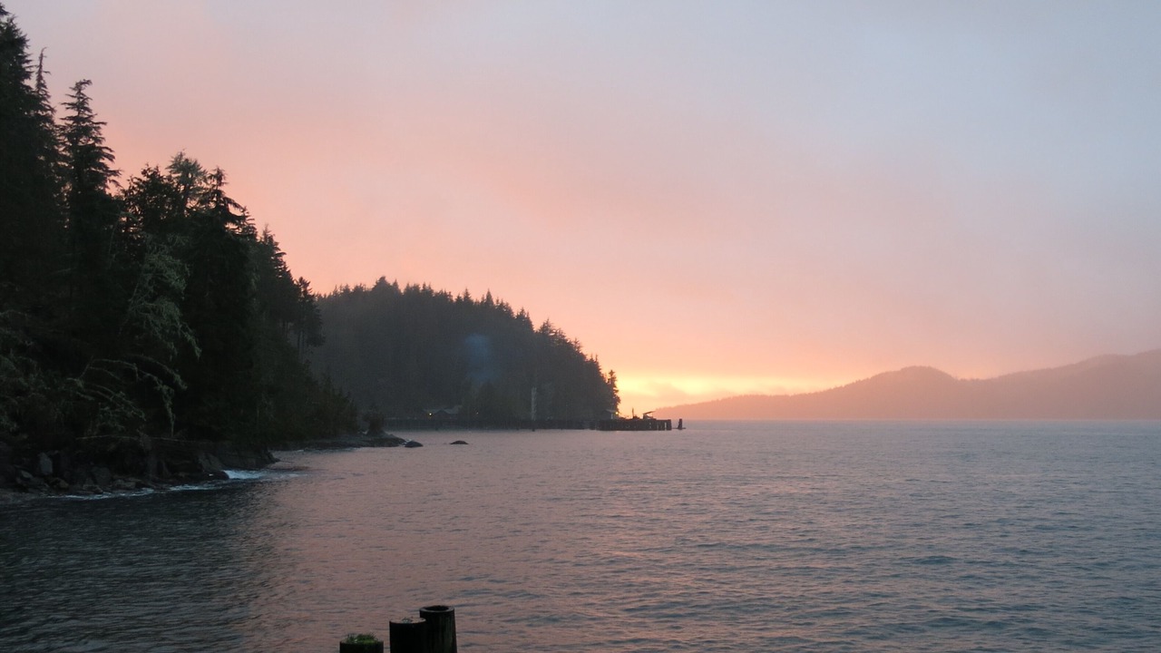 Photo of Others in Port Renfrew