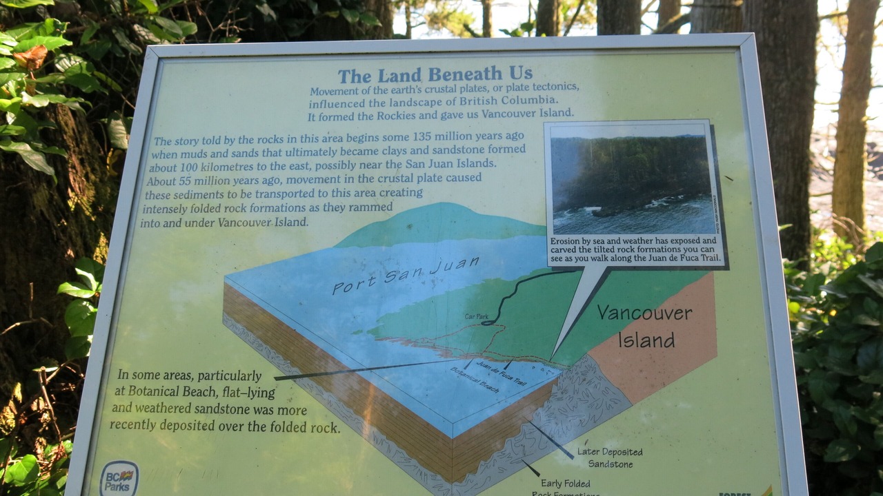 Photo of Outdoor in Port Renfrew