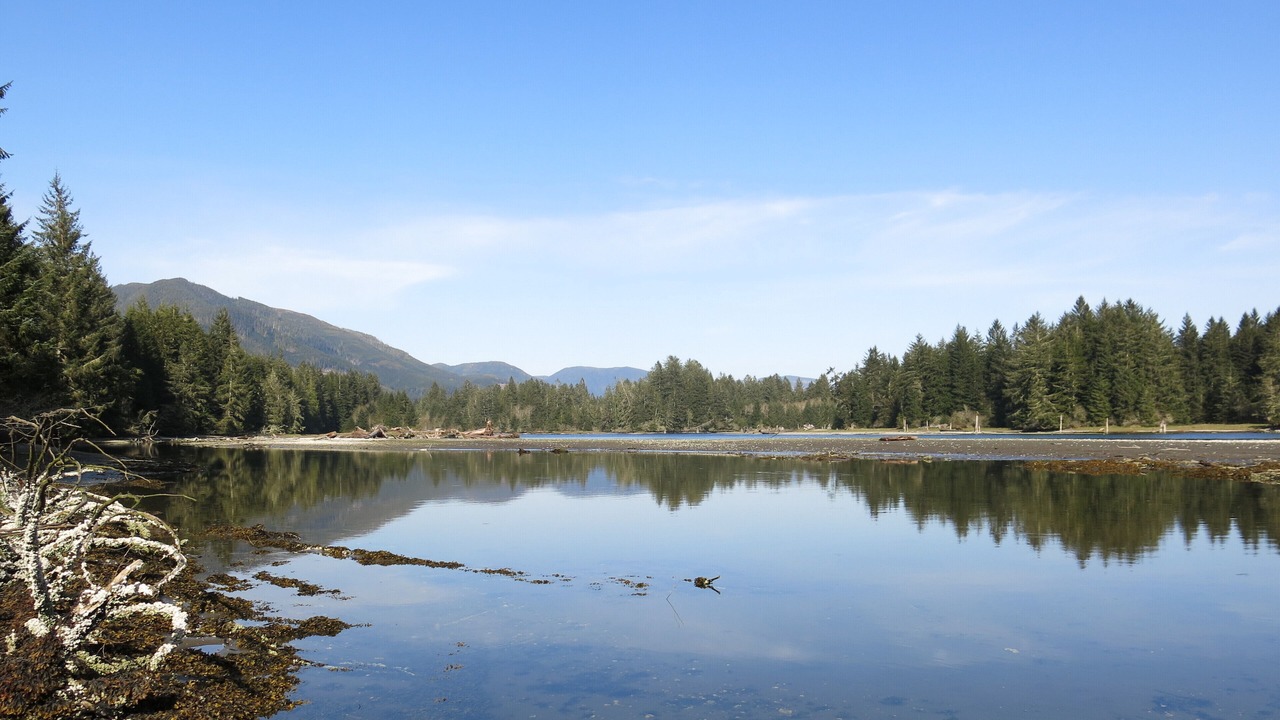 Photo of Outdoor in Port Renfrew
