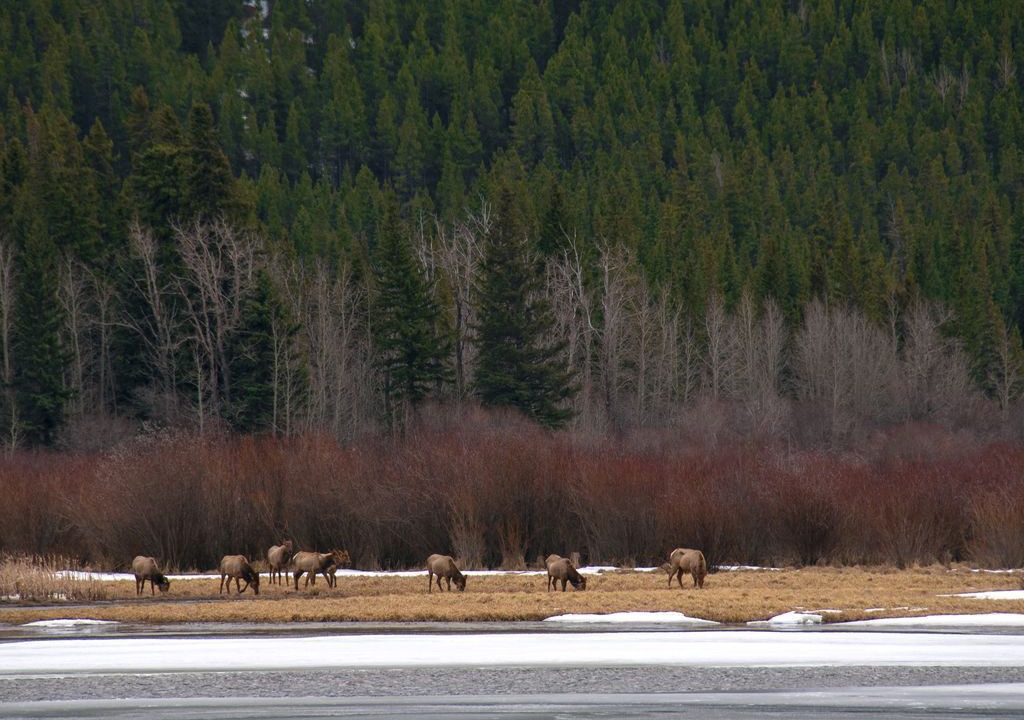 Photo of Others in Copperstone Resort