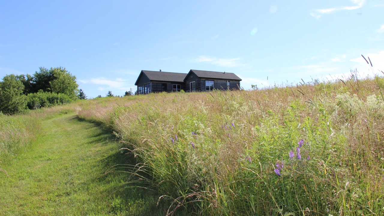 Photo of Others in Margaree Forks
