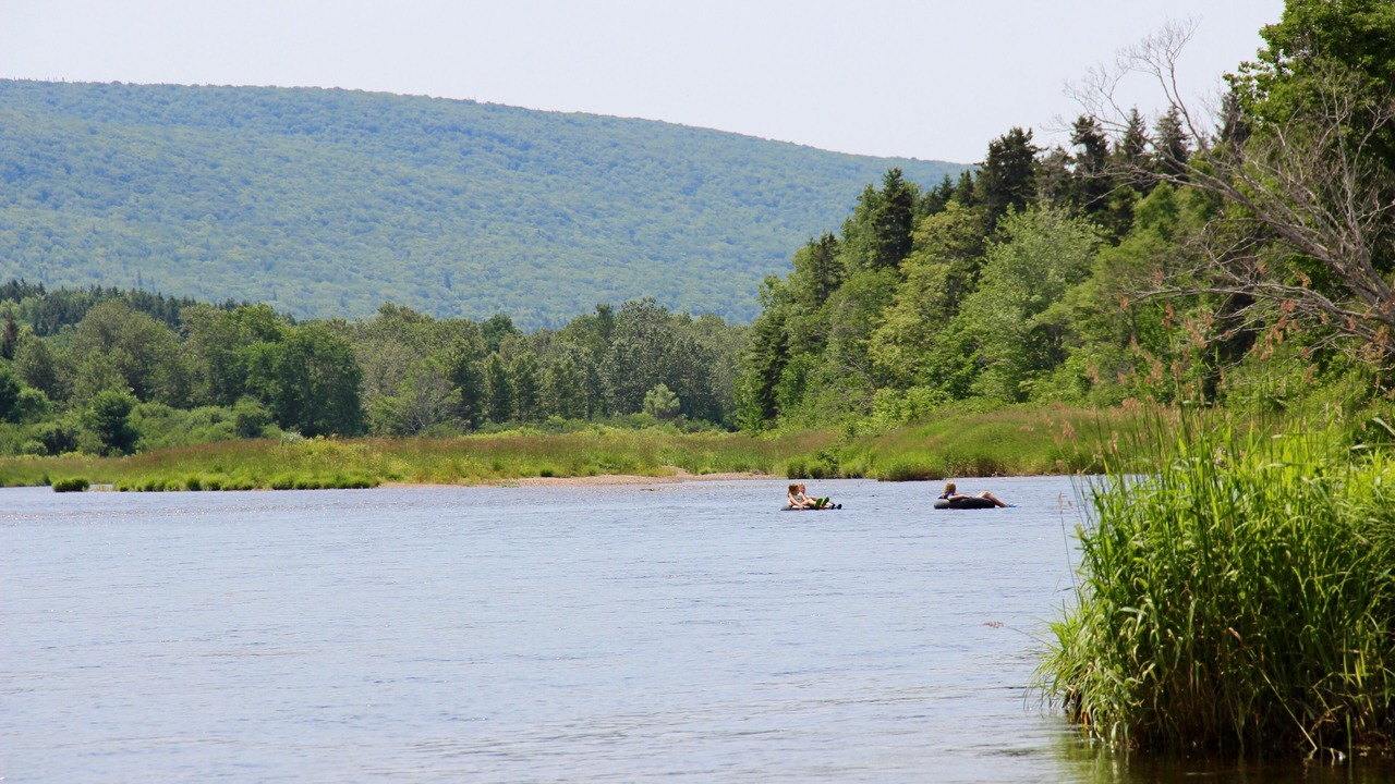 Photo of Others in Margaree Forks