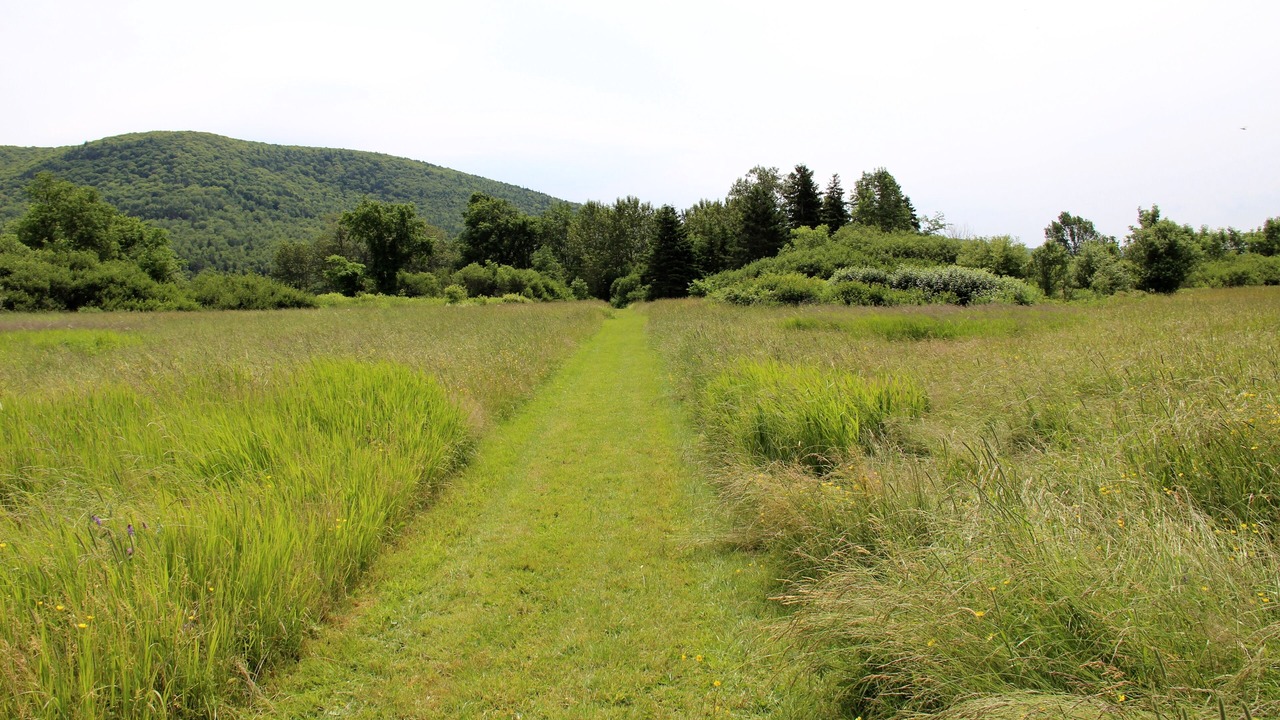 Photo of Others in Margaree Forks